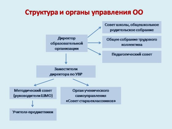 Структура и органы управления школы.